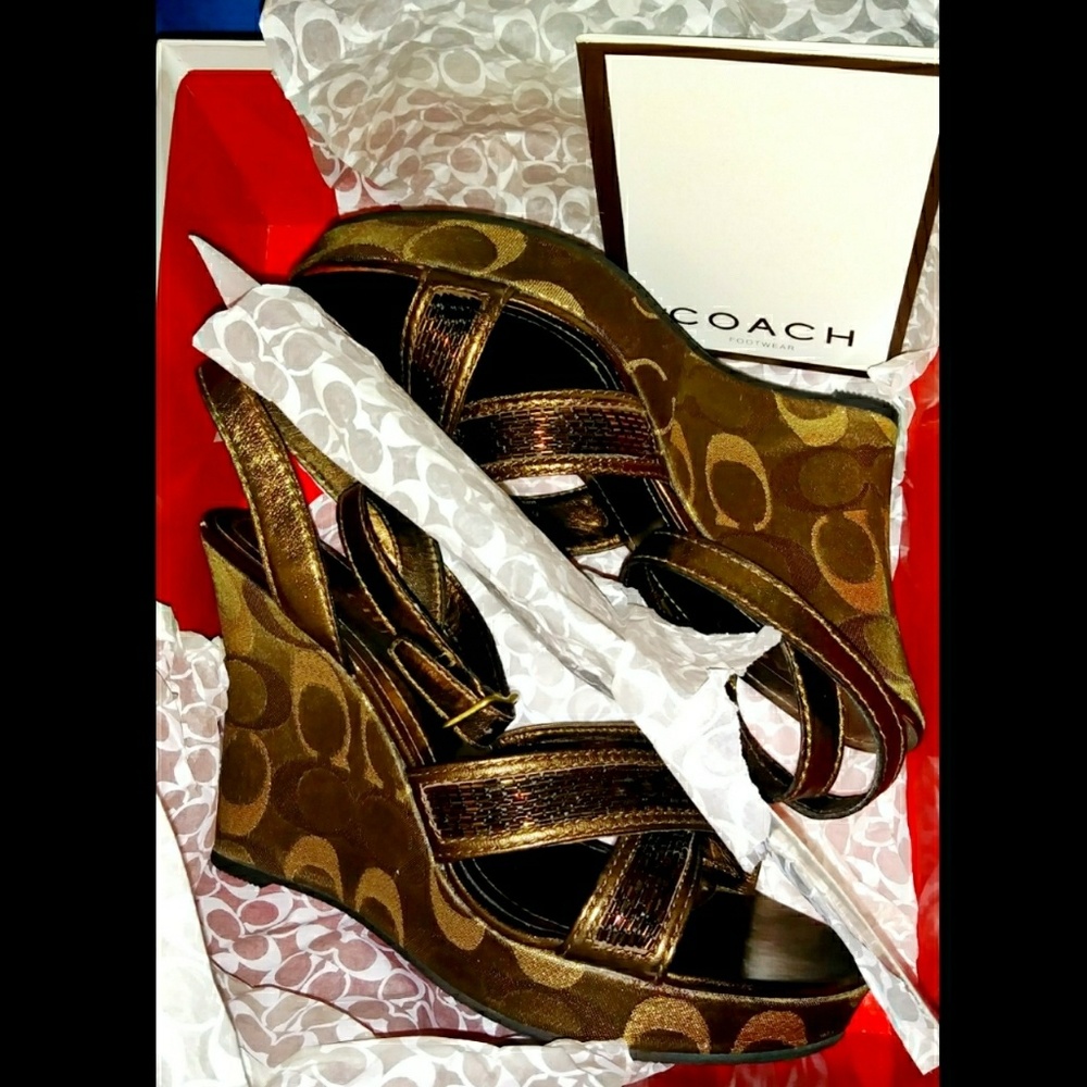 COACH Camelia Bronze Wedges
